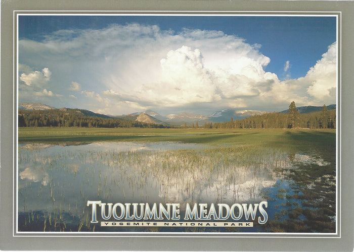 5X7 Tuolumne Meadows Postcard