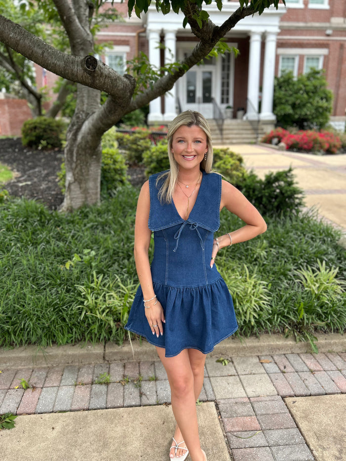PRESLEY DENIM DRESS
