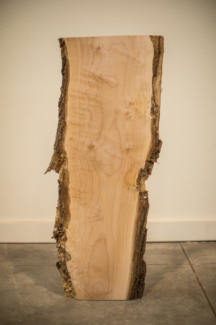 Big Leaf Maple Board B8304