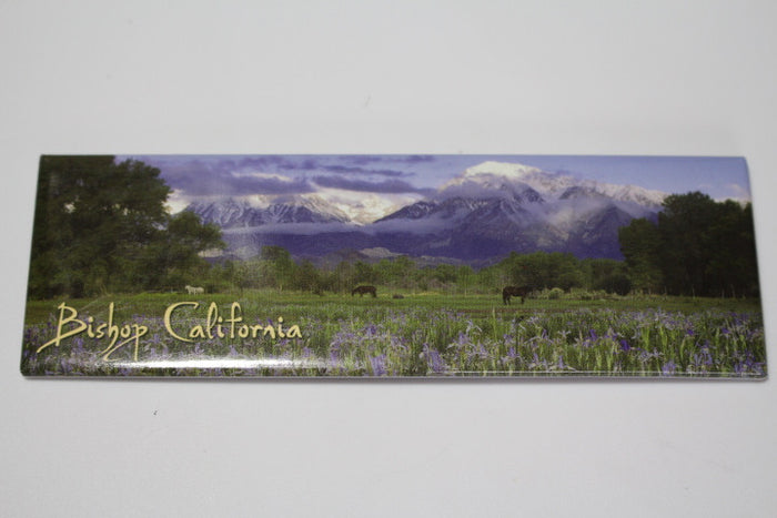 Bishop California Magnet