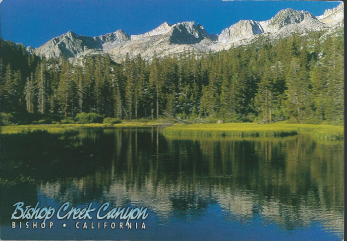 Bishop Canyon Creek Postcard-QTY=50