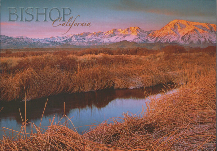 Bishop Sunset Postcard-QTY=50