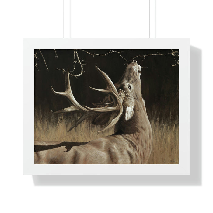 20" x 16" / White