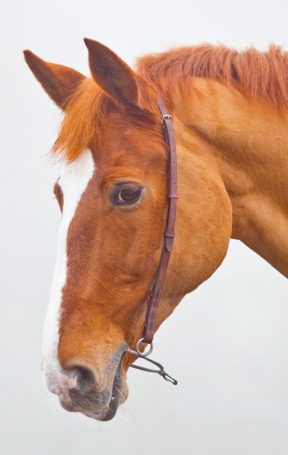Chifney Bit Leather Headpiece