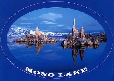 Mono Lake Sticker Postcard