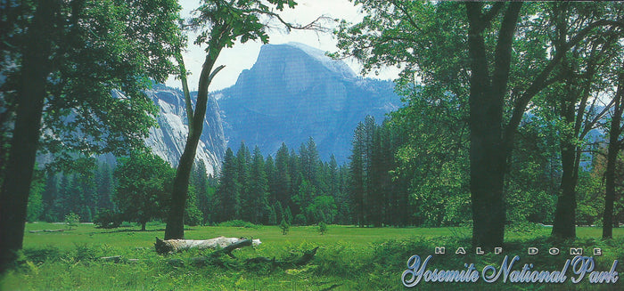 Panoramic Yosemite Half Dome Postcard