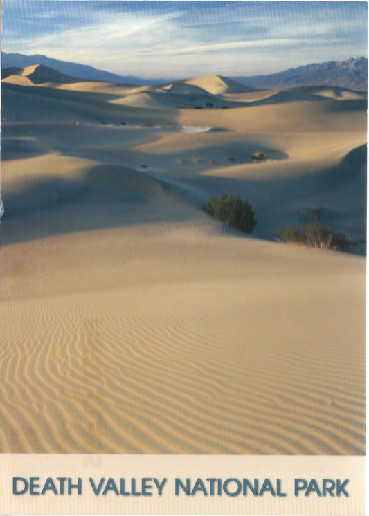 5X7 Death Valley Sand Dunes Postcard