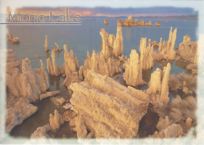 5X7 Mono Lake Salt Rocks Postcard