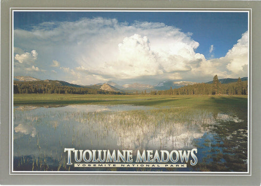5X7 Tuolumne Meadows Postcard