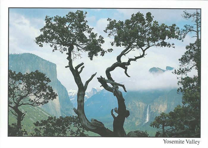 5X7 Yosemite Valley Postcard