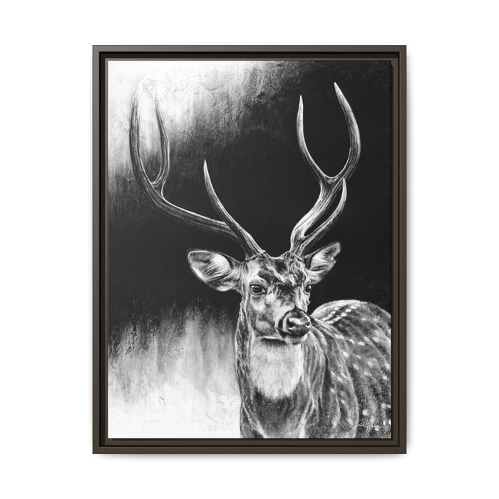 "Axis Buck" Framed Canvas