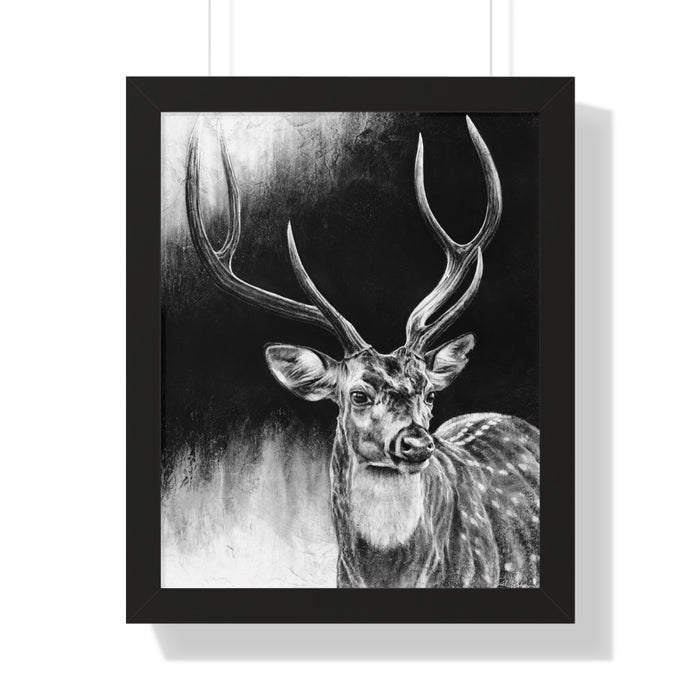 "Axis Buck" Framed Paper Print