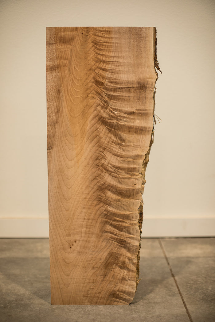 Big Leaf Maple Board B8294