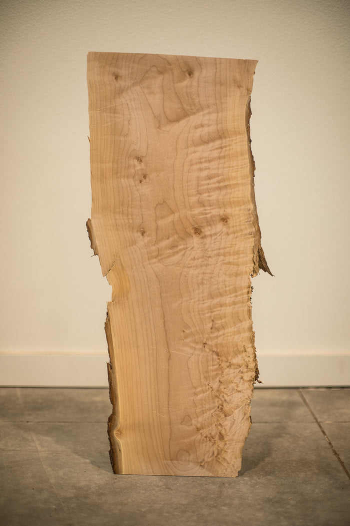 Big Leaf Maple Board B8304