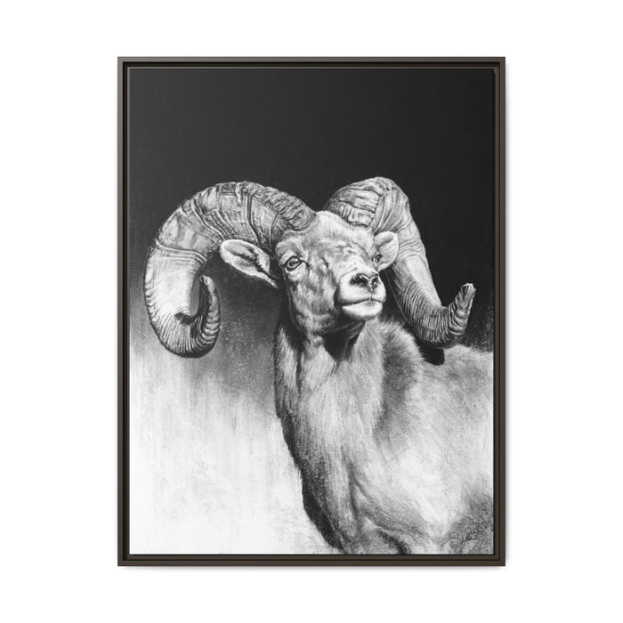 "Bighorn" Framed Canvas