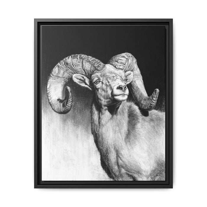 "Bighorn" Framed Canvas