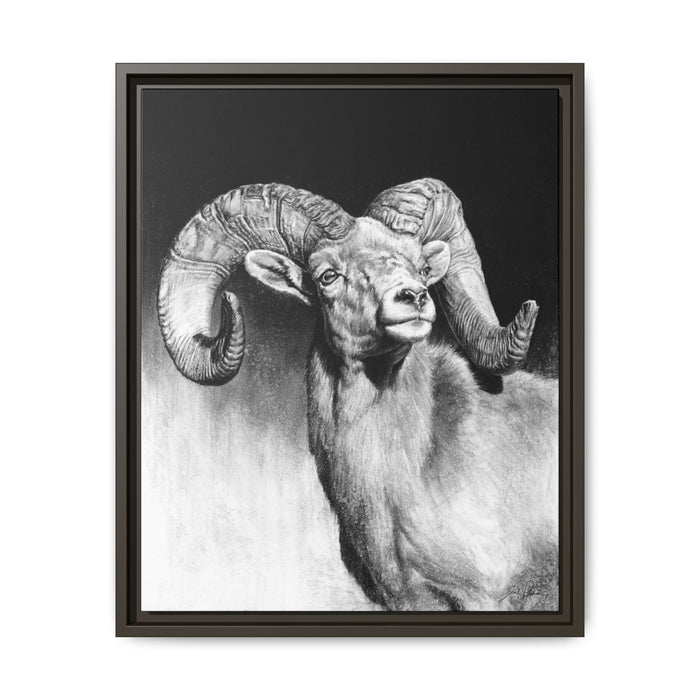 "Bighorn" Framed Canvas