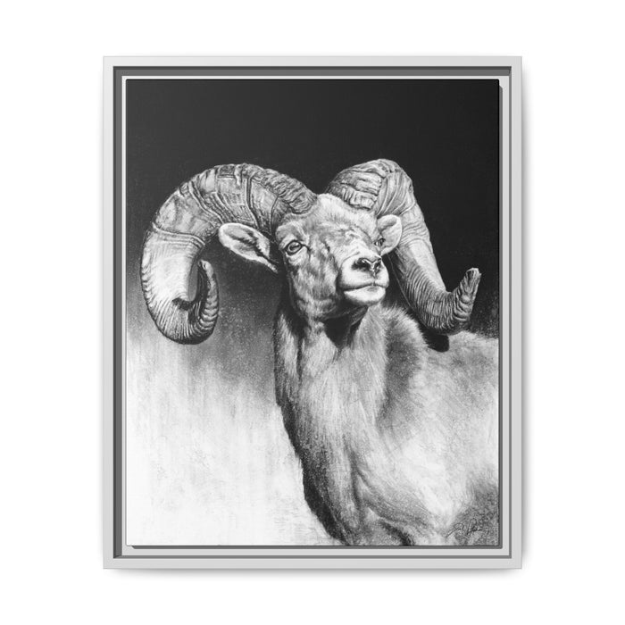 "Bighorn" Framed Canvas