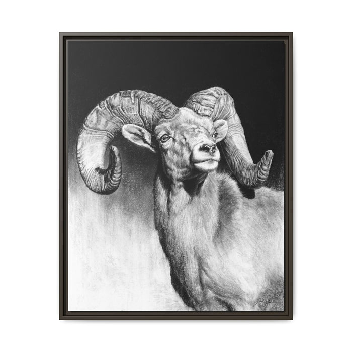 "Bighorn" Framed Canvas