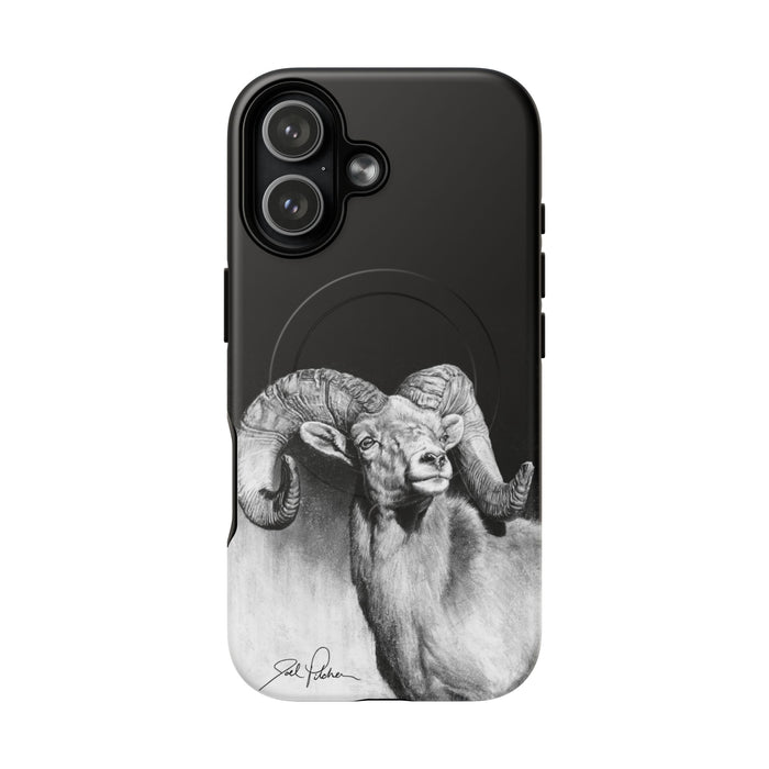 iPhone 17 / Matte