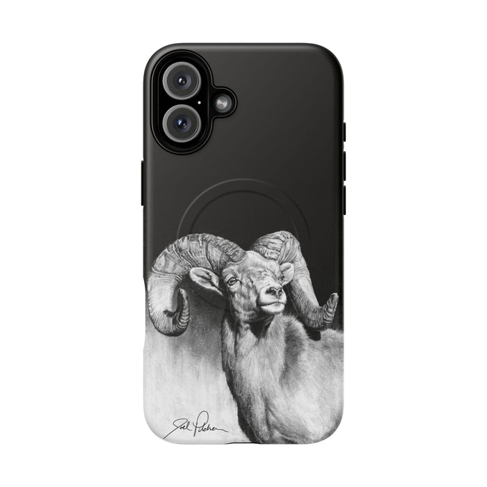 iPhone 16 Plus / Matte