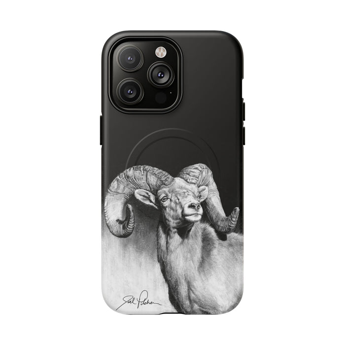 iPhone 14 Pro Max / Matte