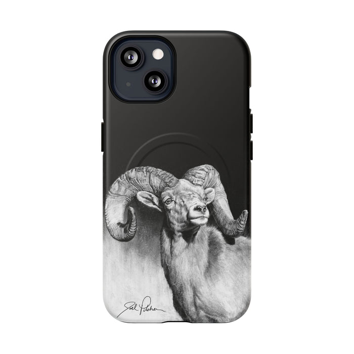 iPhone 13 / Matte