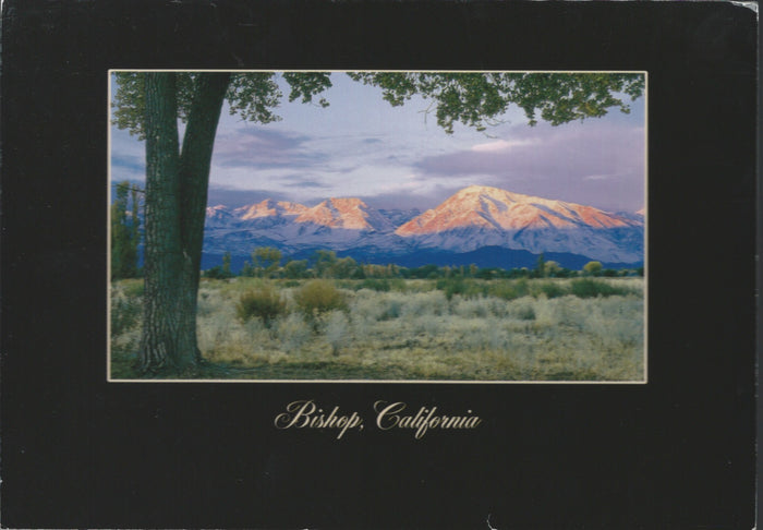 Bishop California Postcard-QTY=50