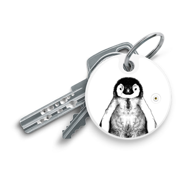 Animals / Penguin