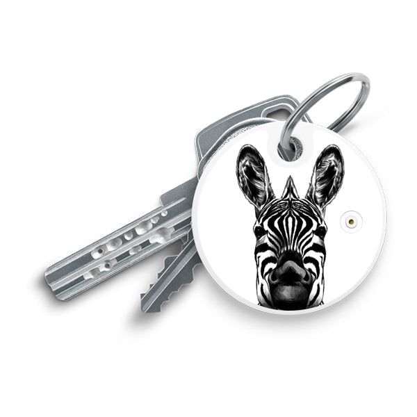 Animals / Zebra