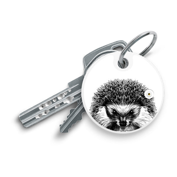 Animals / Hedgehog
