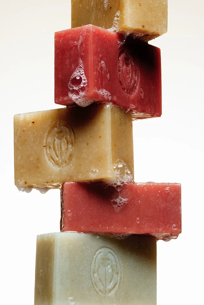 Botanical Bar Soap Apothecary Sangre De Fruta