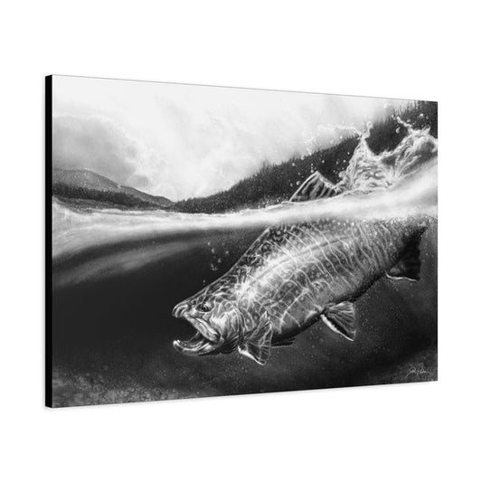 "Brook Trout" Stretched Canvas