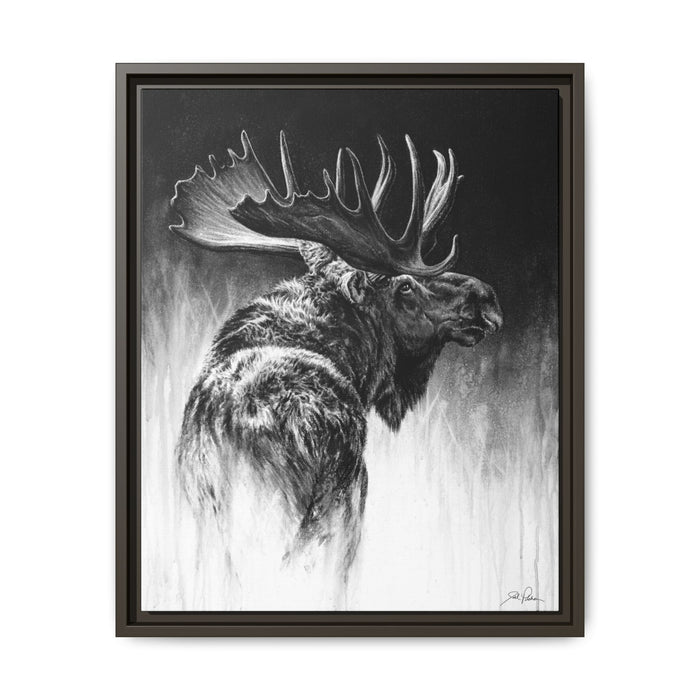 "Bull Moose" Framed Canvas