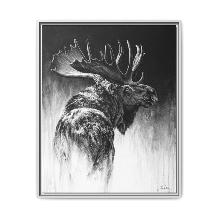 "Bull Moose" Framed Canvas