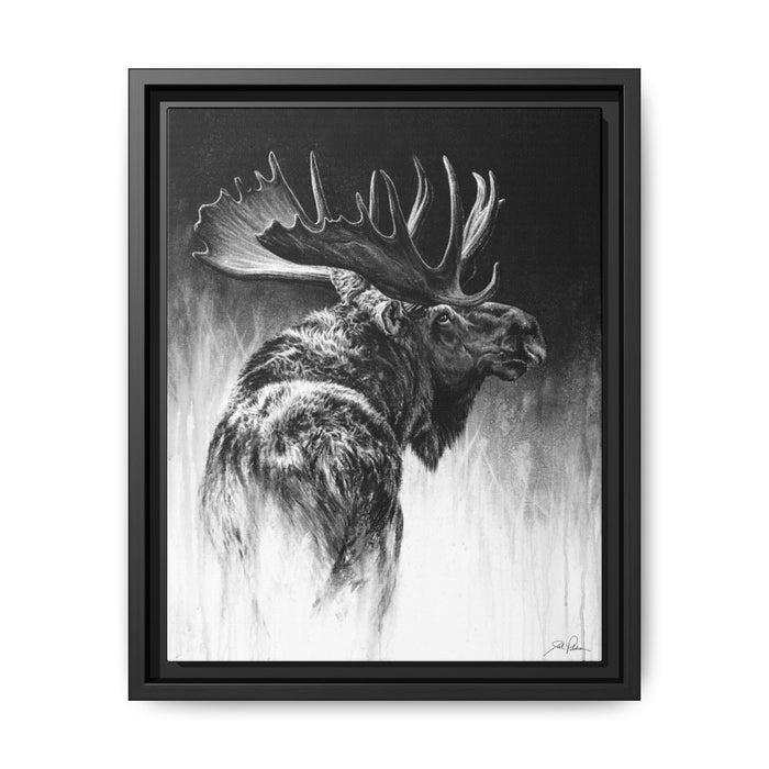 "Bull Moose" Framed Canvas