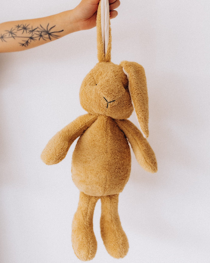 Brown plush bunny held by a hand against a white background
