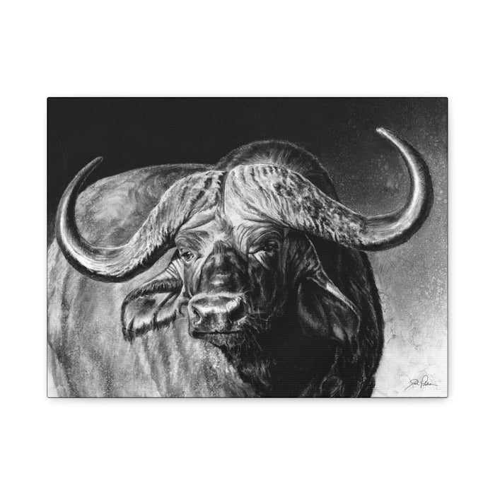 "Cape Buffalo" Stretched Canvas
