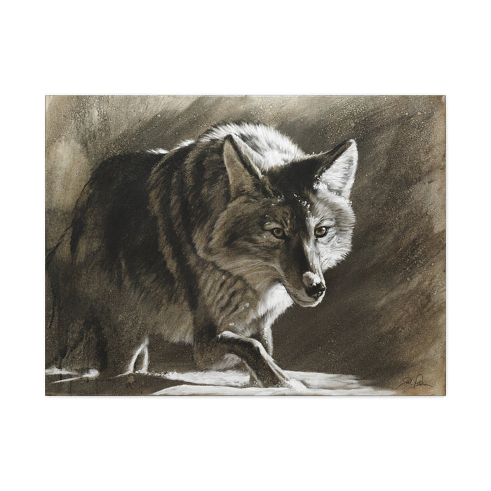"Coyote" Stretched Canvas