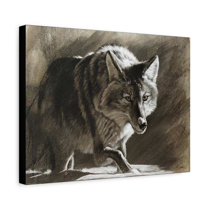 "Coyote" Stretched Canvas