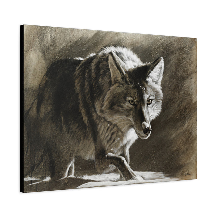 "Coyote" Stretched Canvas