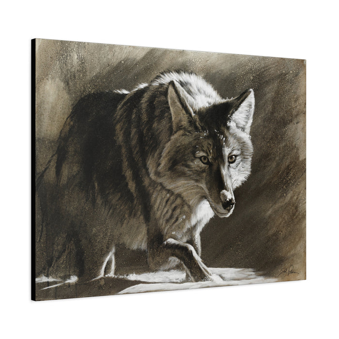 "Coyote" Stretched Canvas