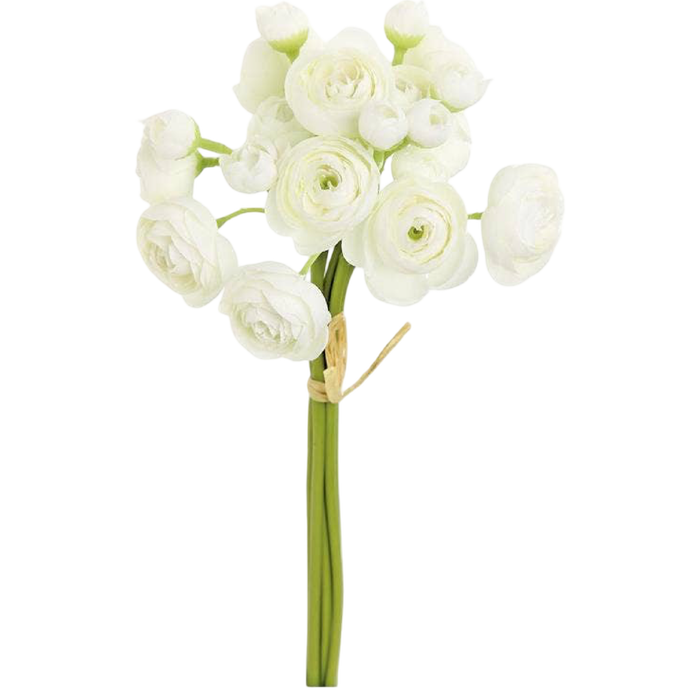 Bouquet of white flowers with green stems on a white background