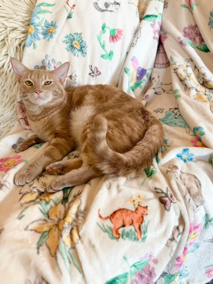 Double-Sided Cozy Throw Blanket - Kitty Doodles-view 4