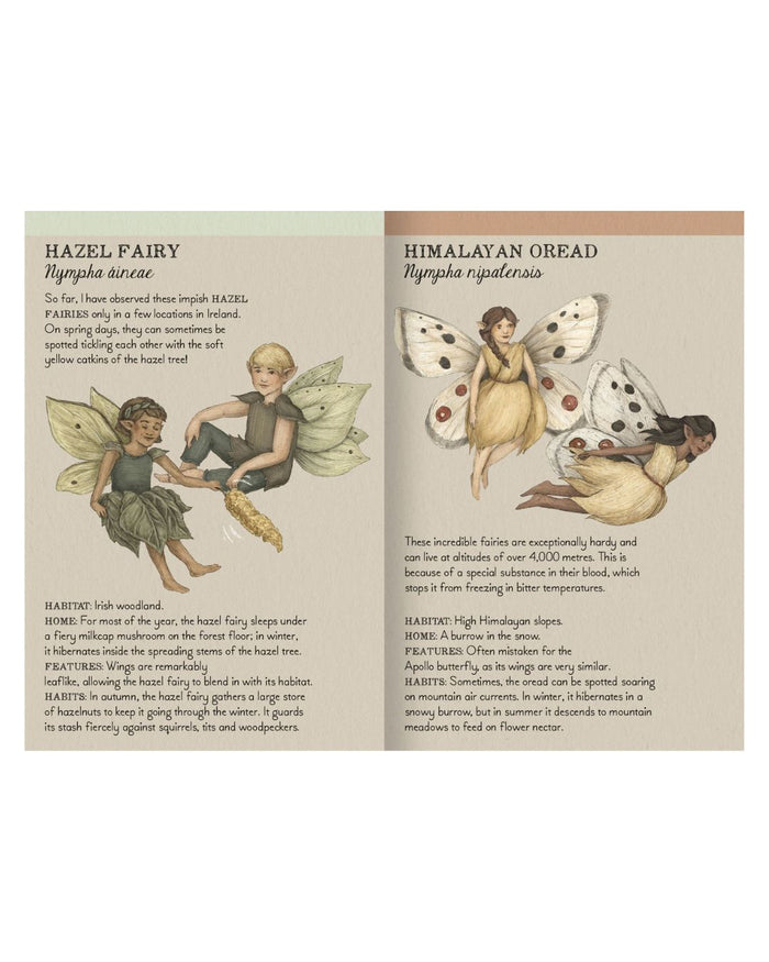 Find The Fairies - Memory Game