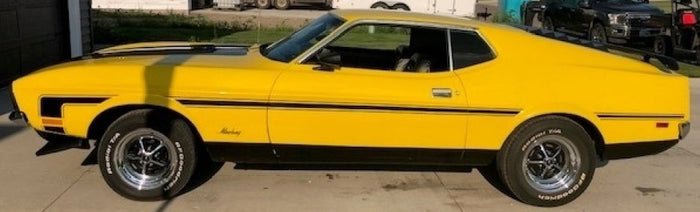 Ford Code D Grabber Yellow Basecoat With Reducer Gallon (Basecoat Only)
