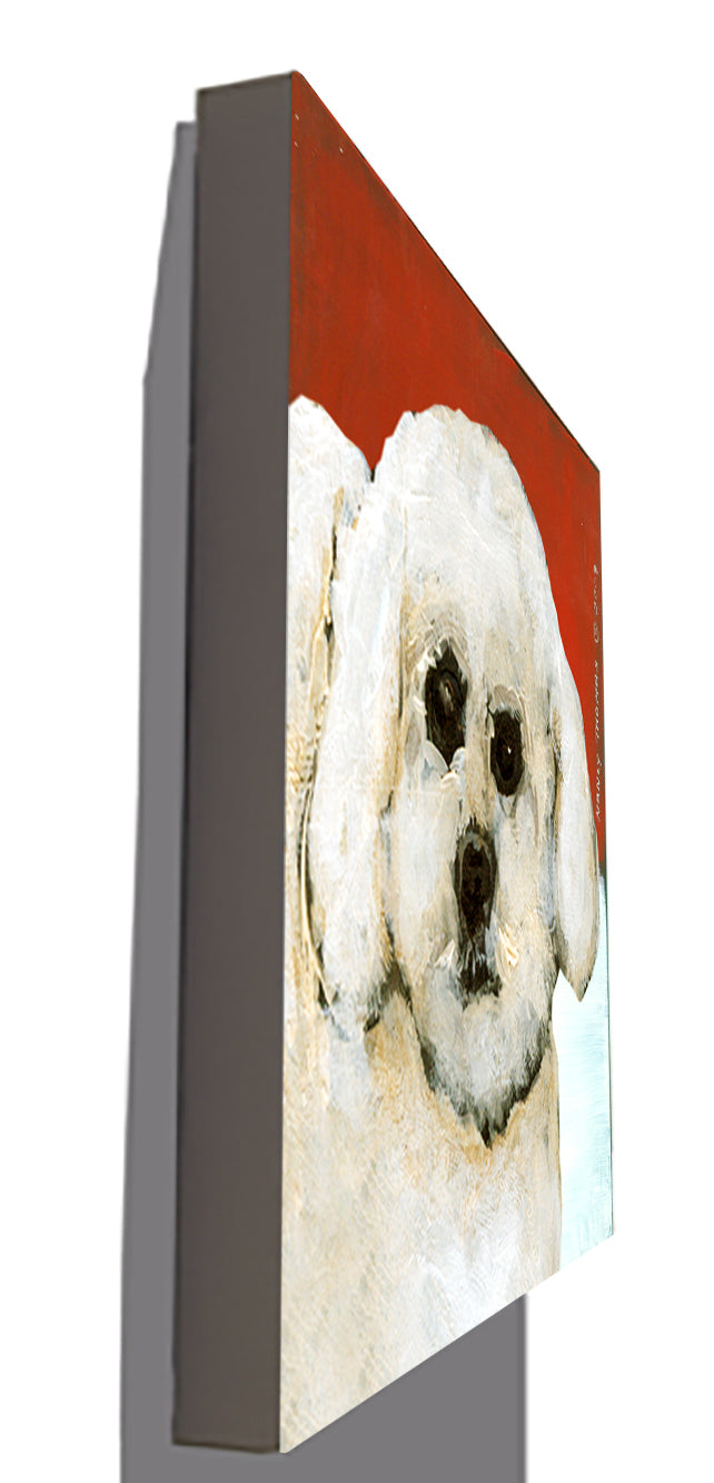 Gallery Grand - Dog Face - Bichon