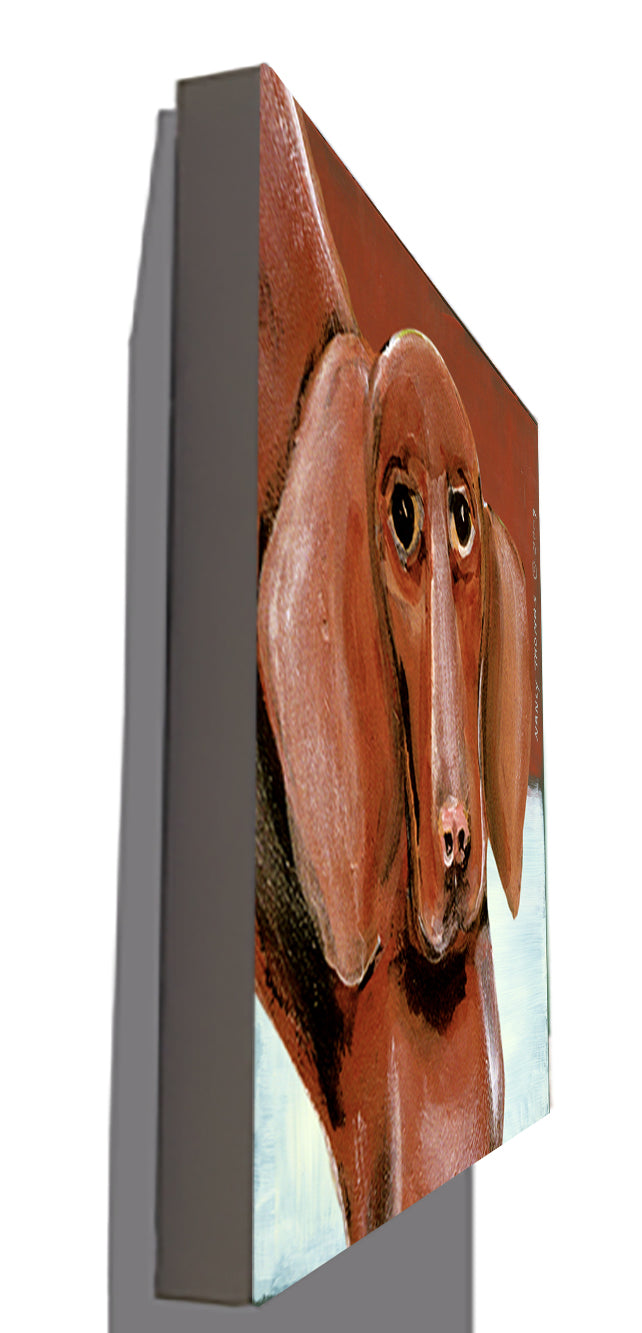 Gallery Grand - Dog Face - Dachshund