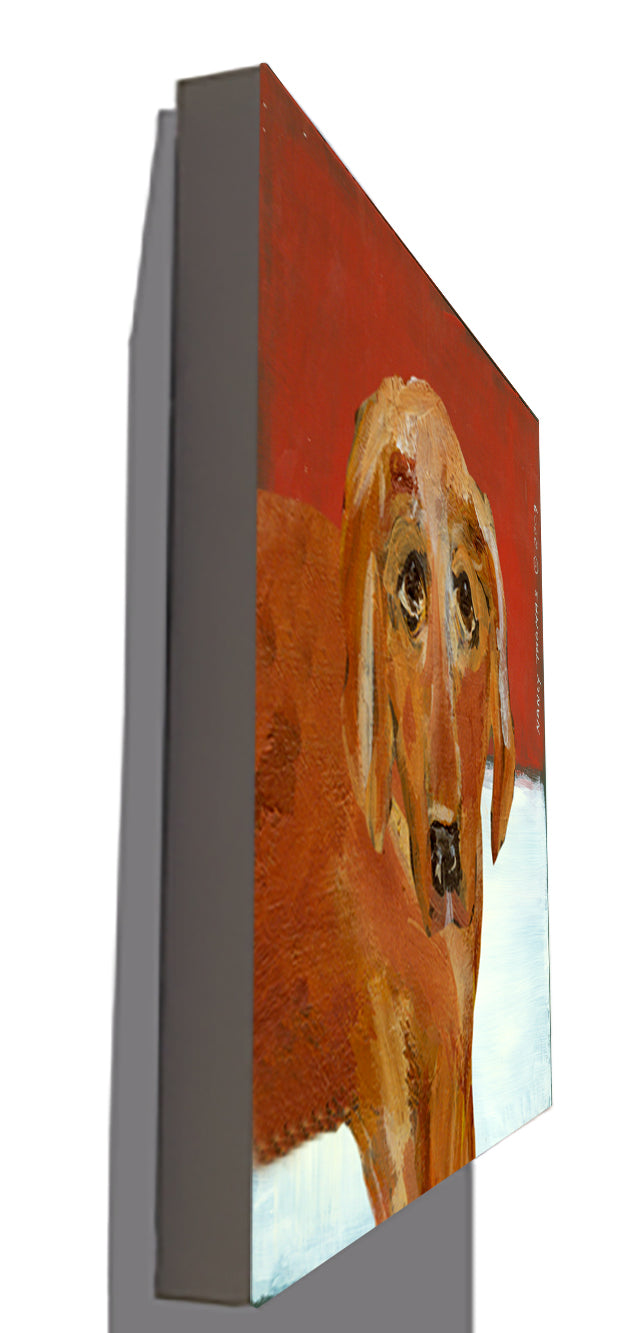 Gallery Grand - Dog Face - Golden Retriever