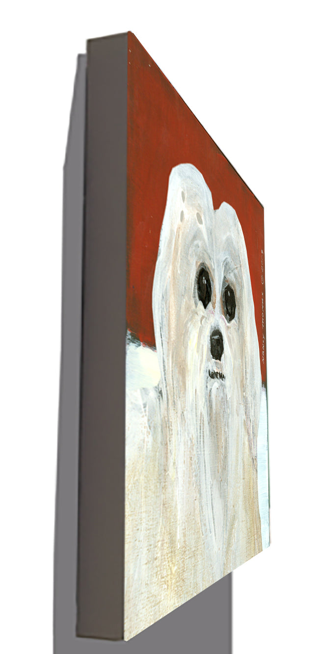 Gallery Grand - Dog Face - Maltese